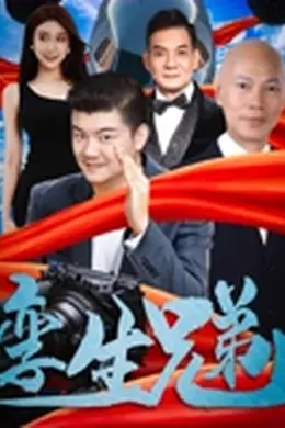 孪生兄弟封面图