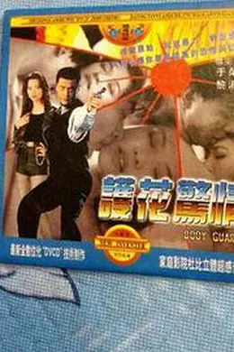 护花惊情（1997）封面图