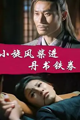 小旋风柴进之丹书铁券封面图