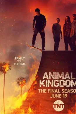 野兽家族 第六季封面图