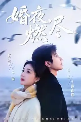 婚夜，燃尽封面图