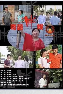 奇葩胖嫂封面图