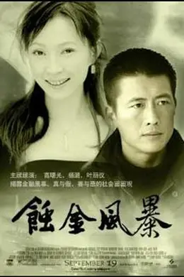 蚀金风暴封面图