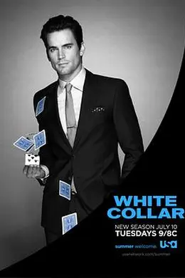 妙警贼探第四季海报图片