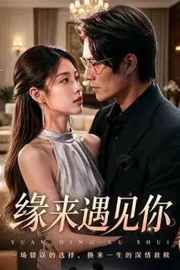 缘来遇见你海报图片