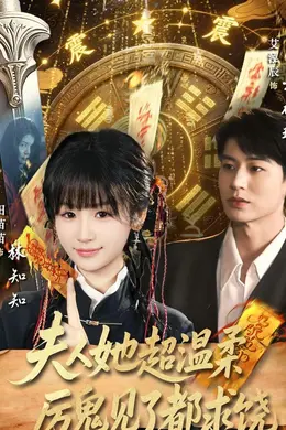 夫人她超温柔厉鬼见了都求饶海报图片