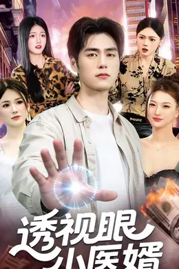 透视眼小医婿封面图