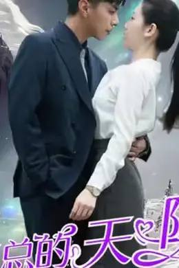 傅总的天降太子妃海报图片