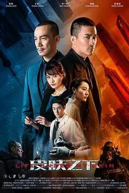 皮肤之下封面图