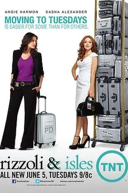 妙女神探第三季封面图