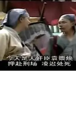 横行天下袁崇焕传国语封面图