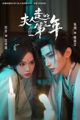 夫人走的第三年封面图