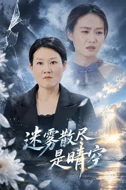 迷雾散尽是晴空封面图