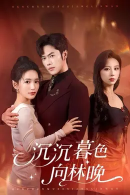 沉沉暮色向林晚封面图