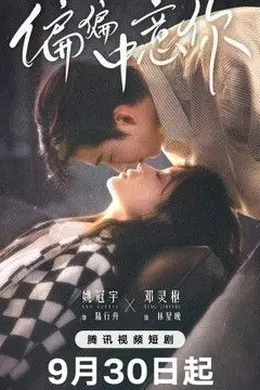 偏偏中意你封面图