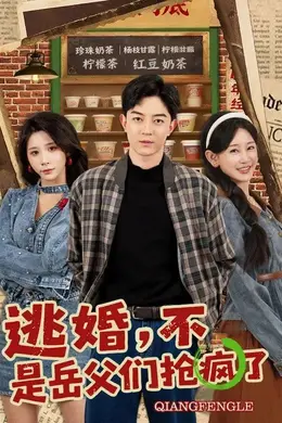 逃婚，不，是岳父们抢疯了海报图片