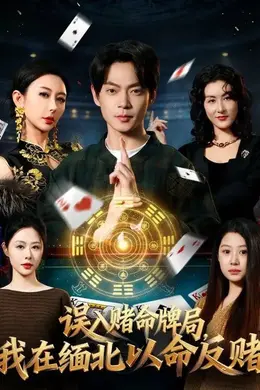 误入赌命牌局，我在缅北以命反赌封面图