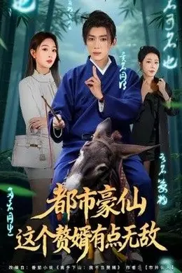 都市豪仙，这个赘婿有点无敌海报图片