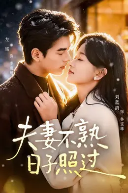 夫妻不熟，日子照过海报图片