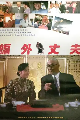 编外丈夫封面图