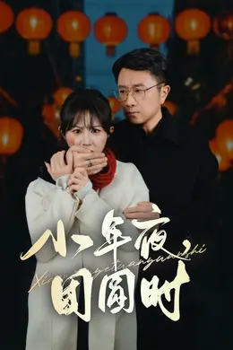 小年夜万家灯火没有我封面图