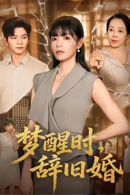 梦醒时，辞旧婚封面图