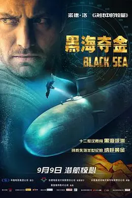 黑海夺金封面图