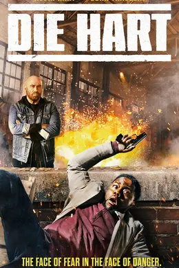 猫胆虫威封面图