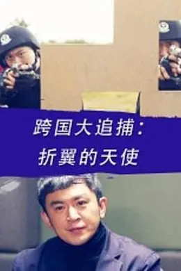 跨国大追捕：折翼的天使封面图