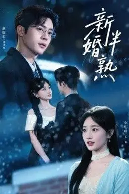 新婚半熟封面图