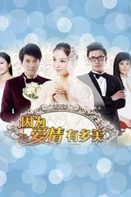 因为爱情有多美DVD封面图