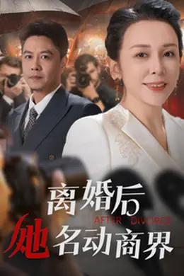 离婚后她名动商界海报图片
