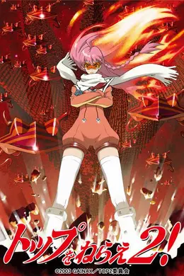 飞跃巅峰2封面图