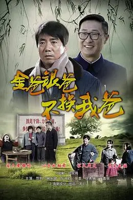 平凡的岁月封面图