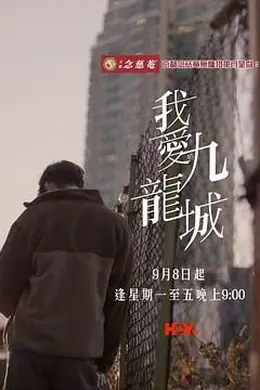 我爱九龙城封面图