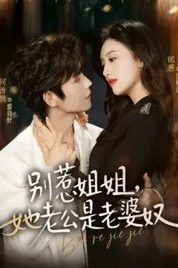 别惹姐姐，她老公是老婆奴海报图片