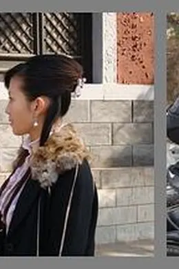 宝藏寻踪封面图