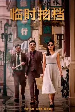 临时拍档封面图