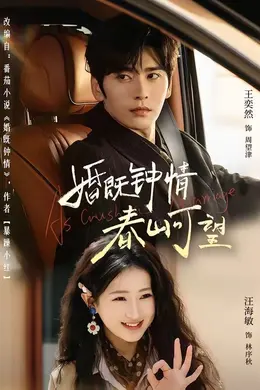 婚既钟情，春山可望（热恋，从新婚开始）海报图片