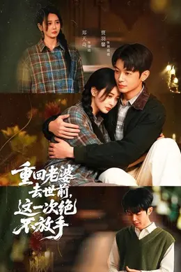重回老婆去世前，这一次绝不放手海报图片