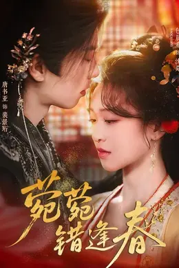 菀菀错逢春封面图