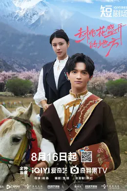 去桃花盛开的地方封面图