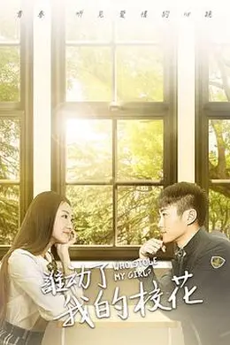 谁动了我的校花封面图