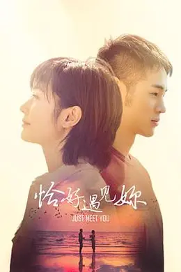 恰好遇见你2021封面图