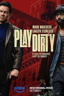 盗亦有道2025封面图