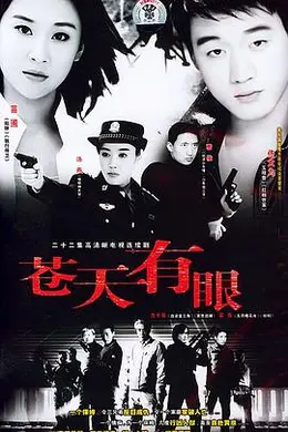 苍天有眼封面图