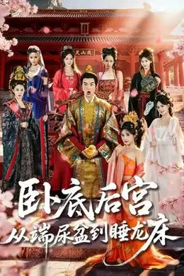 卧底后宫从端尿盆到睡龙床封面图