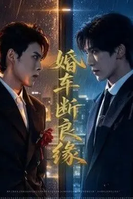 婚车断良缘封面图