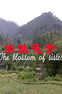 姊妹花开封面图