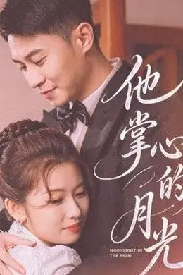 他掌心的月光海报图片